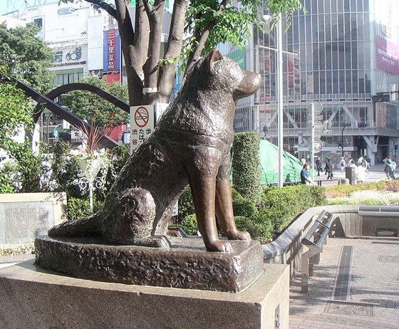 كلاب حققت بطولات في انقاذ البشر على مر العصور وتم تخليد ذكراها صورة رقم 6 كلاب حققت بطولات في انقاذ البشر على مر العصور وتم تخليد ذكراها صورة رقم 6