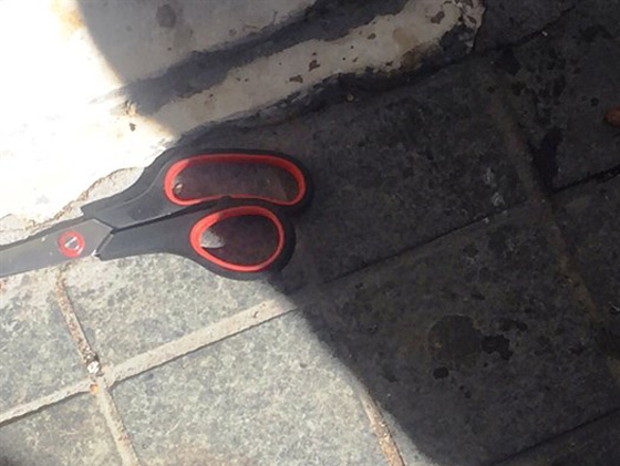 فيديو مروع.. اعدام طالبة مقدسية واصابة ابنة عمها اثناء محاولة طعن بمقص! صورة رقم 4 فيديو مروع.. اعدام طالبة مقدسية واصابة ابنة عمها اثناء محاولة طعن بمقص! صورة رقم 4