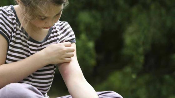 صور الدولة الاكثر امانا في العالم: الشرطة لا تعمل والدراسة مجانية صورة رقم 2 صور الدولة الاكثر امانا في العالم: الشرطة لا تعمل والدراسة مجانية صورة رقم 2