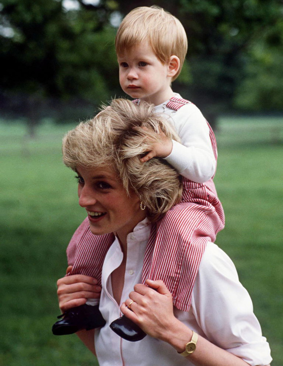 فضيحة تطرق ابواب بريطانيا.. هل حارس الاميرة ديانا هو والد الامير هاري؟ صورة رقم 4