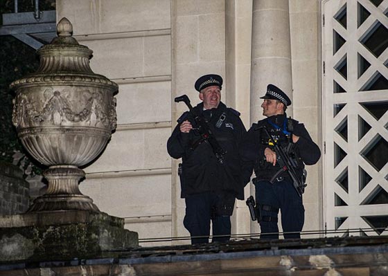 اختراق امني صارخ.. مدافعون عن حقوق الآباء يتسلقون سطح قصر باكنجهام صورة رقم 7 اختراق امني صارخ.. مدافعون عن حقوق الآباء يتسلقون سطح قصر باكنجهام صورة رقم 7