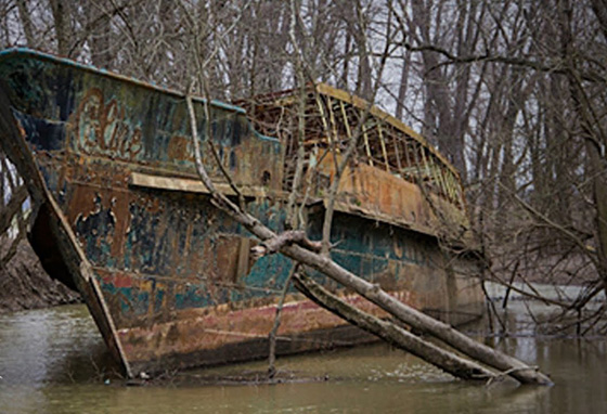 اليابان تعثر على 20 جثة غامضة في سفن خشبية.. شاهد الفيديو صورة رقم 9 اليابان تعثر على 20 جثة غامضة في سفن خشبية.. شاهد الفيديو صورة رقم 9