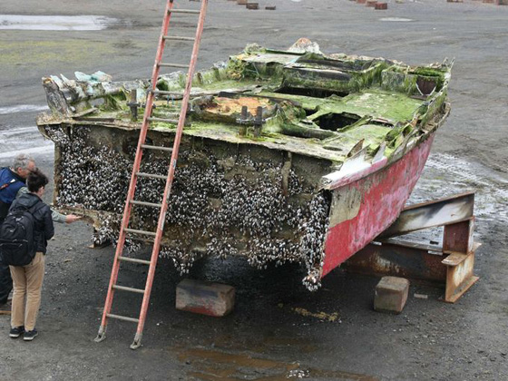 اليابان تعثر على 20 جثة غامضة في سفن خشبية.. شاهد الفيديو صورة رقم 11 اليابان تعثر على 20 جثة غامضة في سفن خشبية.. شاهد الفيديو صورة رقم 11