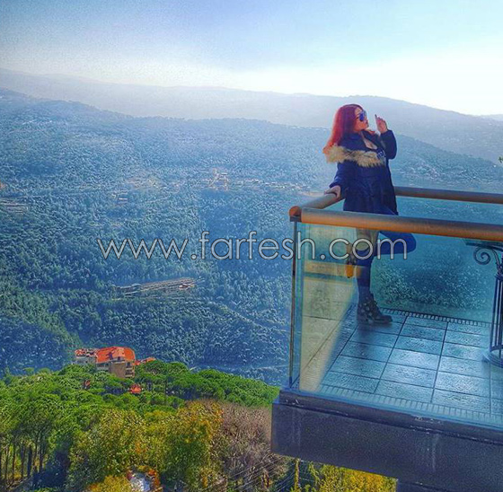  صور هيفاء وهبي وهي تشرب الكحول بين منتقدين ومعجبين! صورة رقم 5