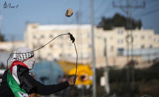 مصور في الانتفاضة.. فادي العاروري خسر كليته وربح القضية صورة رقم 23 مصور في الانتفاضة.. فادي العاروري خسر كليته وربح القضية صورة رقم 23