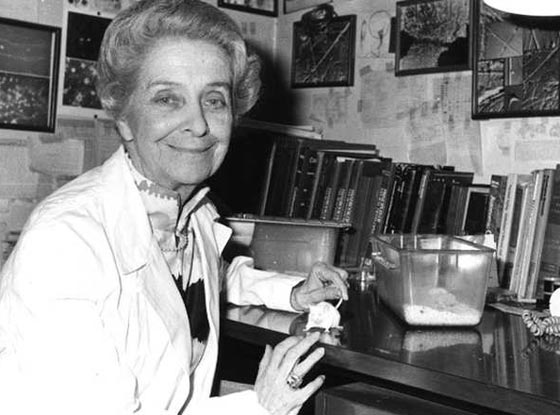 صور نساء متفوقات دخلن التاريخ وتركن بصمات خالدة على صفحاته صورة رقم 6 صور نساء متفوقات دخلن التاريخ وتركن بصمات خالدة على صفحاته صورة رقم 6