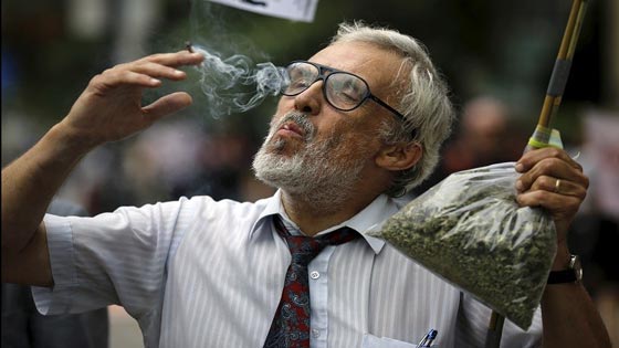  كندا تشرع تعاطي المارخوانا منذ بداية العام عام 2016 صورة رقم 2