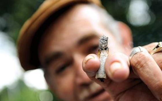  كندا تشرع تعاطي المارخوانا منذ بداية العام عام 2016 صورة رقم 1