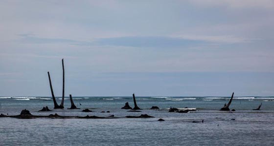 زلزال عنيف يضرب المحيط الهندي وامواج تسونامي قد تصل استراليا صورة رقم 2 زلزال عنيف يضرب المحيط الهندي وامواج تسونامي قد تصل استراليا صورة رقم 2