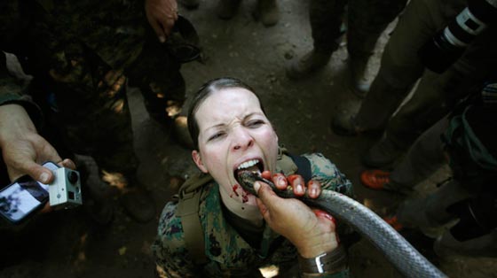 البنتاغون يفتح جميع الوظائف القتالية أمام النساء صورة رقم 7 البنتاغون يفتح جميع الوظائف القتالية أمام النساء صورة رقم 7