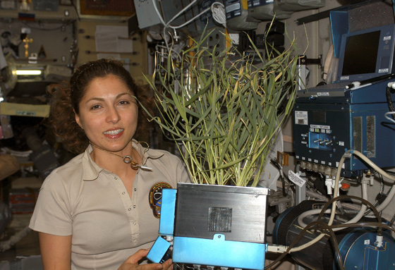 نساء مسلمات يتجندن لتطهير صورة الاسلام في امريكا بوسائل تكنولوجية صورة رقم 5