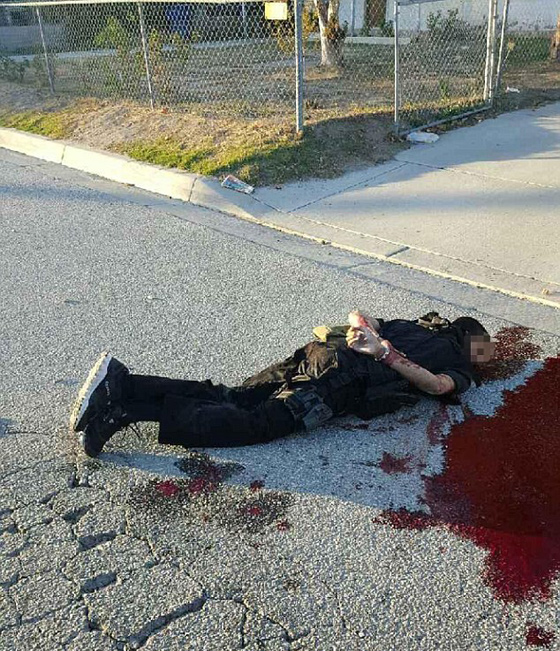 ما لا تعرفه عن منفذة مذبحة كاليفورنيا.. الطالبة المطيعة والذكية اصبحت ارهابية! صورة رقم 9 ما لا تعرفه عن منفذة مذبحة كاليفورنيا.. الطالبة المطيعة والذكية اصبحت ارهابية! صورة رقم 9