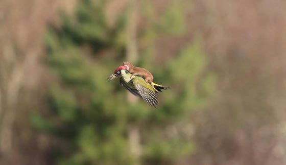  صور اهم احداث عام 2015 (1): سياسة، فن، جريمة، طرائف وكوارث الطبيعة صورة رقم 17