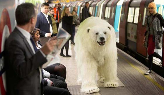  صور اهم احداث عام 2015 (1): سياسة، فن، جريمة، طرائف وكوارث الطبيعة صورة رقم 5