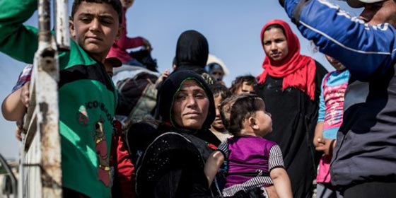 تكساس تفشل في اثبات تهمة الارهاب على اللاجئين.. وتضطر لاستقبالهم صورة رقم 4 تكساس تفشل في اثبات تهمة الارهاب على اللاجئين.. وتضطر لاستقبالهم صورة رقم 4