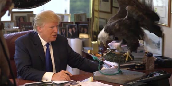 النسر الأصلع يحتج على تصريحات ترامب المعادية للاسلام ويهاجمه صورة رقم 5 النسر الأصلع يحتج على تصريحات ترامب المعادية للاسلام ويهاجمه صورة رقم 5