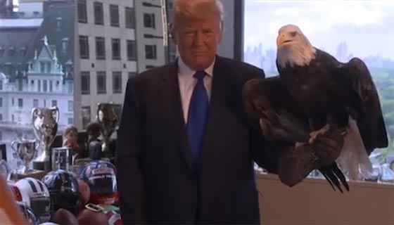 النسر الأصلع يحتج على تصريحات ترامب المعادية للاسلام ويهاجمه صورة رقم 4 النسر الأصلع يحتج على تصريحات ترامب المعادية للاسلام ويهاجمه صورة رقم 4