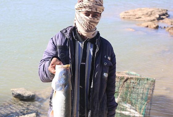 صور تظهر الدواعش في اوقات فراغهم.. ماذا يصنعون؟ صورة رقم 1