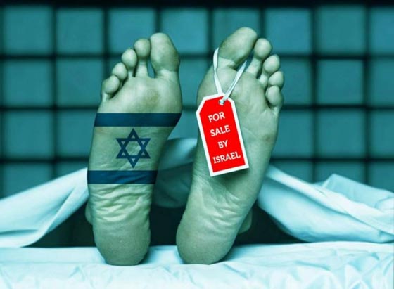 اعتقال اسرائيلي مطلوب للانتربول بتهمة التجارة باعضاء اللاجئين السوريين صورة رقم 1