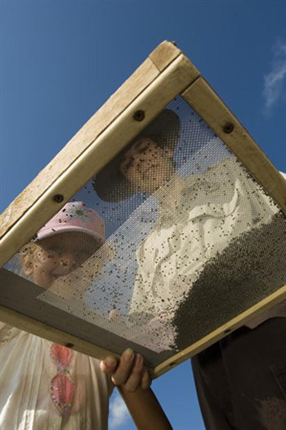 تعرف على المنجم الوحيد المفتوح أمام الناس للبحث عن الماس صورة رقم 9