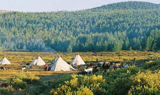  قبائل الدوخا النادرة تنافس بابا نويل على اعز اصدقائه.. شاهد الصور صورة رقم 3