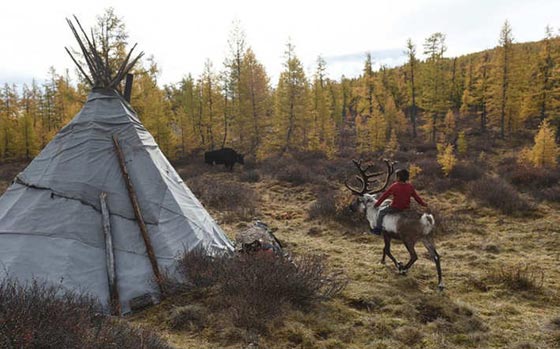  قبائل الدوخا النادرة تنافس بابا نويل على اعز اصدقائه.. شاهد الصور صورة رقم 5