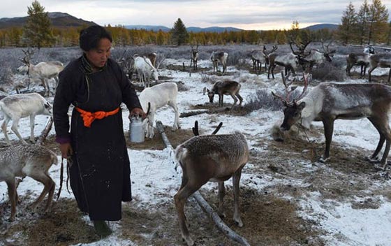  قبائل الدوخا النادرة تنافس بابا نويل على اعز اصدقائه.. شاهد الصور صورة رقم 2