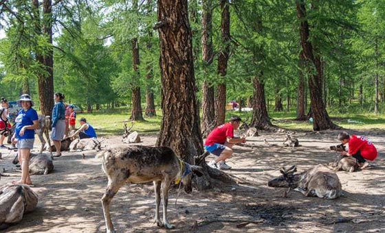  قبائل الدوخا النادرة تنافس بابا نويل على اعز اصدقائه.. شاهد الصور صورة رقم 9