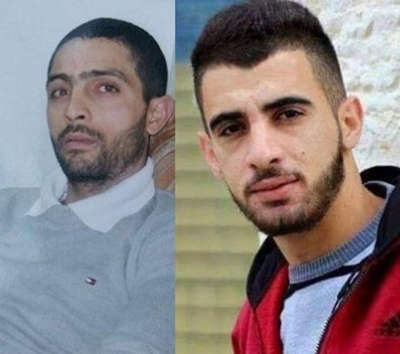 القوات الاسرائيلية تقتحم مخيم قلنديا وتقتل وتصيب ستة فلسطينيين صورة رقم 1