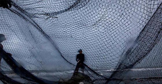 صدفة من عالم الشباك تنقذ اندنوسيين من الغرق بعد انقلاب عبارتهم صورة رقم 1 صدفة من عالم الشباك تنقذ اندنوسيين من الغرق بعد انقلاب عبارتهم صورة رقم 1