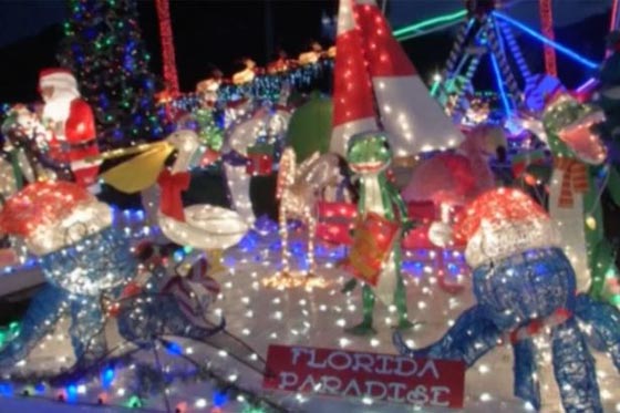 دعوى قضائية ضد أمريكي حول منزله الى مهرجان اضواء في العيد صورة رقم 2