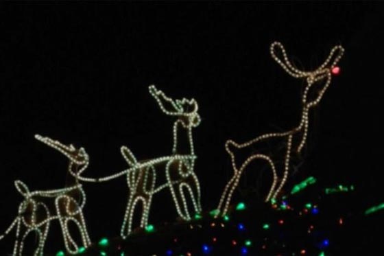 دعوى قضائية ضد أمريكي حول منزله الى مهرجان اضواء في العيد صورة رقم 4