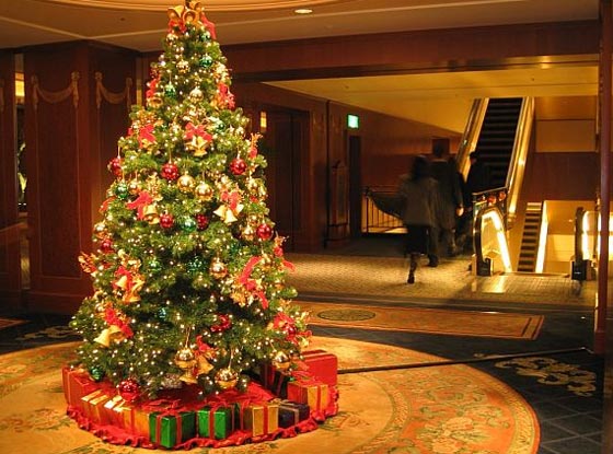 شجرة عيد الميلاد: علاقتها بالارواح الشريرة، ولماذا رفضتها الكنيسة؟ وكيف تحوّلت الى رمز الامل؟ صورة رقم 4