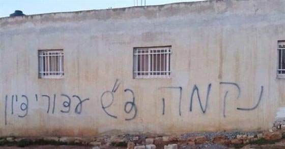 بعد الدوابشة.. مستوطنون يهاجمون عائلة فلسطينية بقنابل الغاز صورة رقم 1