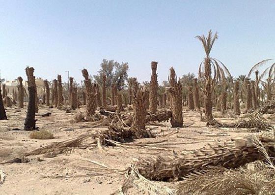 هكذا مزق الدواعش العراق مستخدمين سلاح الماء!! صورة رقم 3 هكذا مزق الدواعش العراق مستخدمين سلاح الماء!! صورة رقم 3