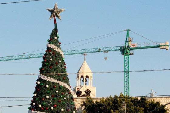  مصادفة نادرة المولد الشريف والميلاد المجيد معا.. كل عام وانتم بخير صورة رقم 23