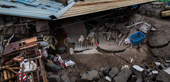 انتحار مسؤول صيني بعد انهيار مكب نفايات وفقدان 70 شخصا صورة رقم 1 انتحار مسؤول صيني بعد انهيار مكب نفايات وفقدان 70 شخصا صورة رقم 1