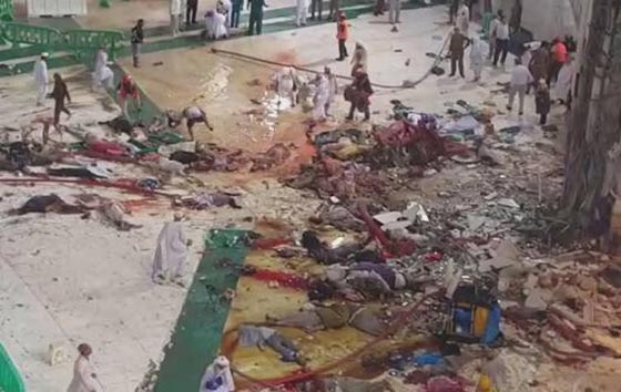 2015 عام من الرعب.. الدواعش يتصدرون المشهد العربي من مشرقه الى مغربه صورة رقم 19 2015 عام من الرعب.. الدواعش يتصدرون المشهد العربي من مشرقه الى مغربه صورة رقم 19