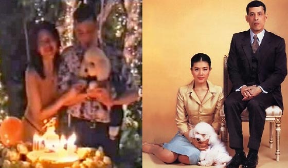 قصة كلبة من عالم الملوك.. كرموها بفيلم وكتاب واهانوا من اهانها واذلوه!! صورة رقم 5 قصة كلبة من عالم الملوك.. كرموها بفيلم وكتاب واهانوا من اهانها واذلوه!! صورة رقم 5