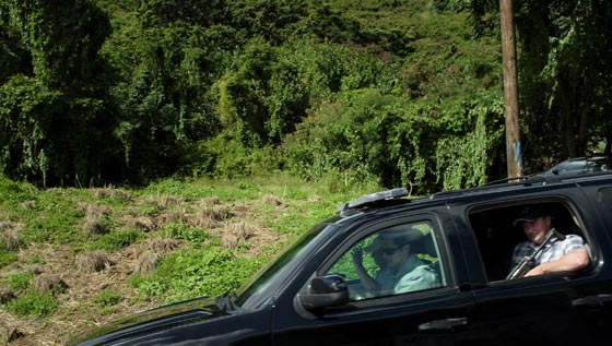 الامريكيون يدفعون ثمنا باهظا مقابل اجازة اوباما في هاواي.. بالارقام صورة رقم 10 الامريكيون يدفعون ثمنا باهظا مقابل اجازة اوباما في هاواي.. بالارقام صورة رقم 10