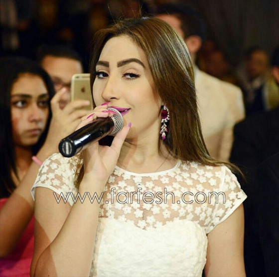 قرار محكمة الجنح المصرية: حبس المطربة بوسى عامين لقيامها بتحرير شيكات بدون رصيد صورة رقم 5