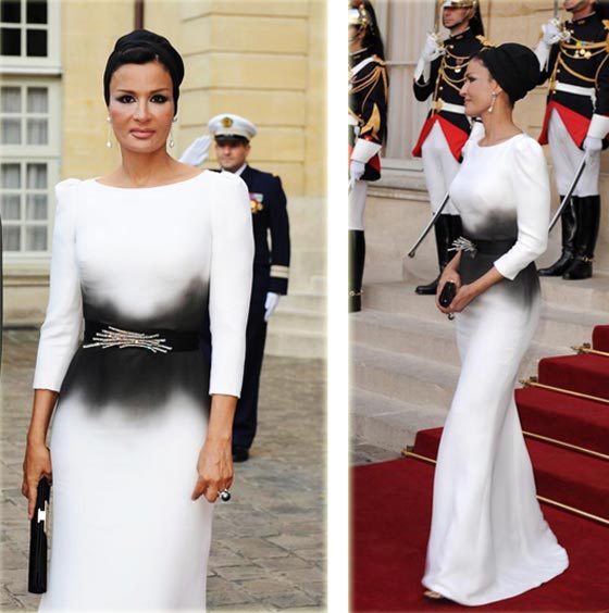 هل فعلا أصيبت الشيخة موزة بجلطة في المخ وتتلقى العلاج في سويسرا ام ان زوجها هو المصاب؟ صورة رقم 13 هل فعلا أصيبت الشيخة موزة بجلطة في المخ وتتلقى العلاج في سويسرا ام ان زوجها هو المصاب؟ صورة رقم 13