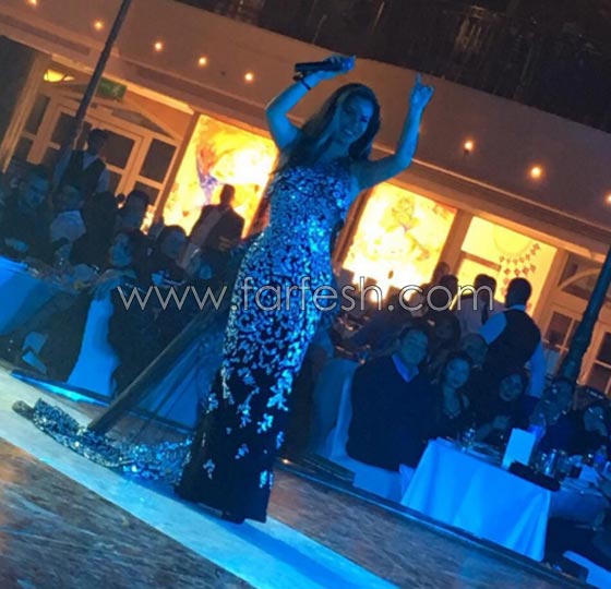 صور فنانين يشعلون حفلات راس السنة وفيديو هيفاء وهبي بشرم الشيخ صورة رقم 4