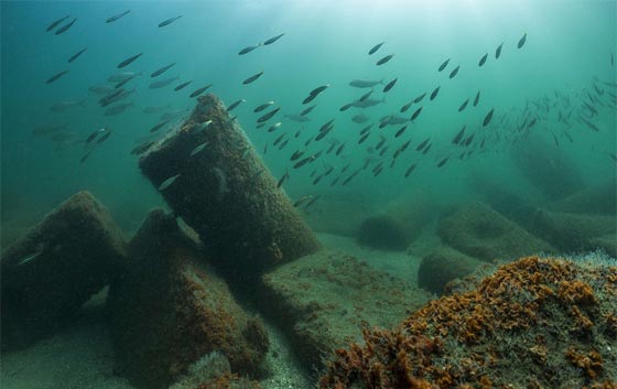 اكتشاف مدينة اثرية فرعونية تعود الى 700 سنة قبل الميلاد في عمق النيل صورة رقم 3