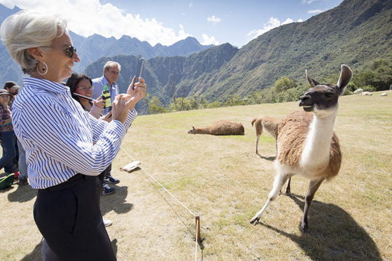 عام من الصور الطريفة.. ابطالها الاشاوش رجال السياسة صورة رقم 8