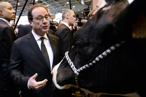 عام من الصور الطريفة.. ابطالها الاشاوش رجال السياسة صورة رقم 10