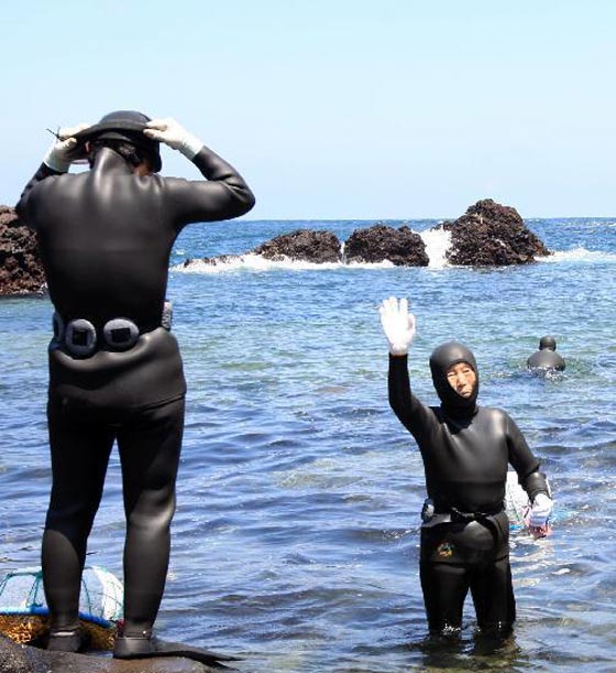 نساء البحر.. ساعات من الغوص بالمياه الباردة بحثا عن ثمار البحر صورة رقم 3