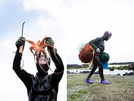 نساء البحر.. ساعات من الغوص بالمياه الباردة بحثا عن ثمار البحر صورة رقم 11