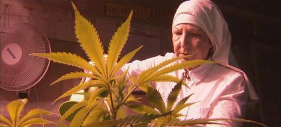 راهبتان تعالجان الناس بالماريغوانا الطبية وتعتبرانها هدية من الرب صورة رقم 3 راهبتان تعالجان الناس بالماريغوانا الطبية وتعتبرانها هدية من الرب صورة رقم 3