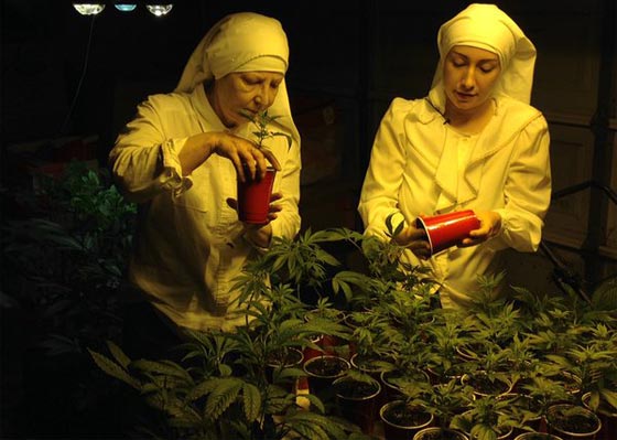 راهبتان تعالجان الناس بالماريغوانا الطبية وتعتبرانها هدية من الرب صورة رقم 2 راهبتان تعالجان الناس بالماريغوانا الطبية وتعتبرانها هدية من الرب صورة رقم 2